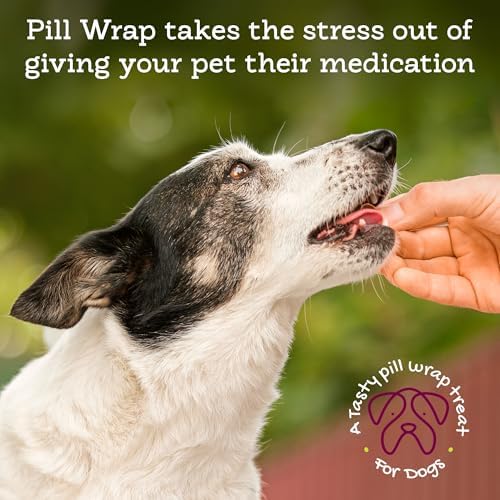 Riley's Pill Wrap for Dogs - Delicious Pumpkin & Peanut Butter Flavored Pill Paste for Dogs - Wrap Pills, Capsules, Tablets in a Pocket or Pouch to Mask The Taste - 4.2 oz