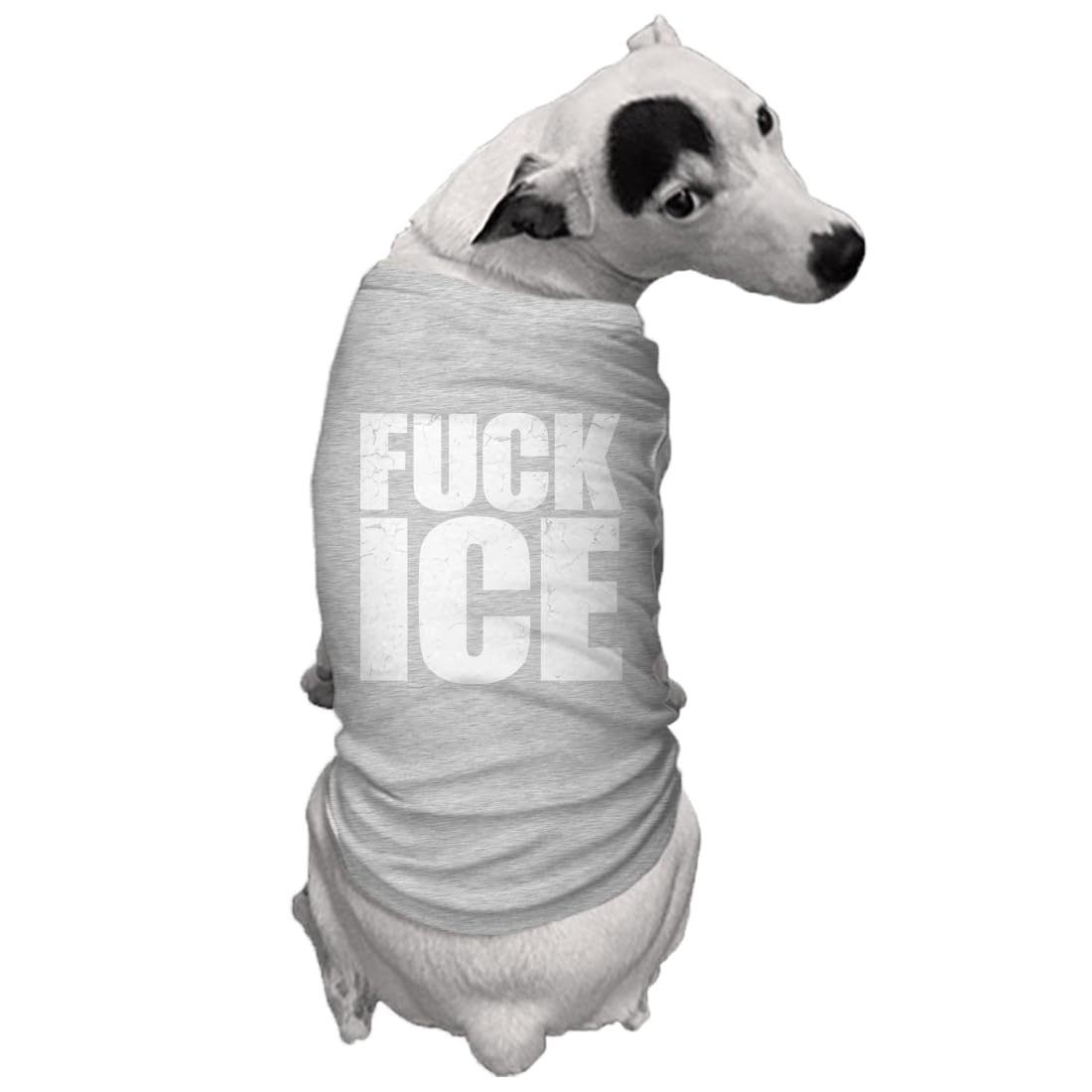 Fuck ICE - Protest Support Immigrants Dog Shirt (Light Gray, X-Small)