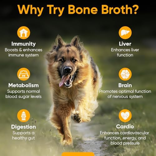 iHeartDogs Bone Broth for Dogs - Bone Broth & Mushroom Gold Powder Supplement for Immune System Support, Improved Mobility & Flexibility and Natural Detox - Turkey Tail Mushroom for Dogs