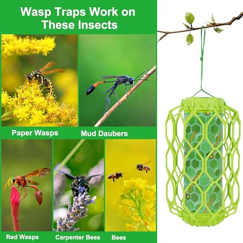Sancodee 2 Pcs Wasp Trap Outdoor Hanging, Insect Catcher for Wasps and Carpenter Bees, Bee Killer Sticky Bug Boards Yellow Jacket Trap with Bait Reservoir, Non-Toxic Reusable Wasp Hornet Trap (Green)