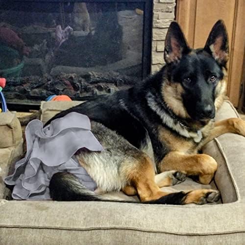 wegreeco Dog Diapers Female (3 Pack), Highly Absorbent Puppy Doggie Dog Diapers for Female Dogs Period, Washable Doggy Female Dog Diapers for Dogs in Heat, Small Medium Large Size (Morandi, Medium)