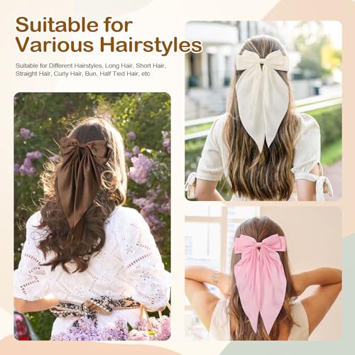 6Pcs Hair Bows for Women, Big Bow Hair Clips for Girls, Silky Satin Hair Bows Oversized Long Tail, Neutral Pink Hair Ribbon, Cute Bow Clips for Women, Metal Clips Hair Accessories Gifts