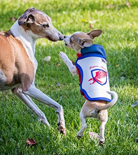 Raptor Shield Puncture Resistant Pet Vest for Small Dogs β Talon-Proof Protection Against Attacks by Coyotes, HawksBirds of Prey, Made in The USA, Four Sizes β Medium, 7-11.5 lbs, Chest 13.5 to 17"