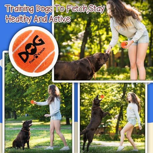 6PC Squeaky Dog Balls - Tennis Balls for Dogs,2.5''