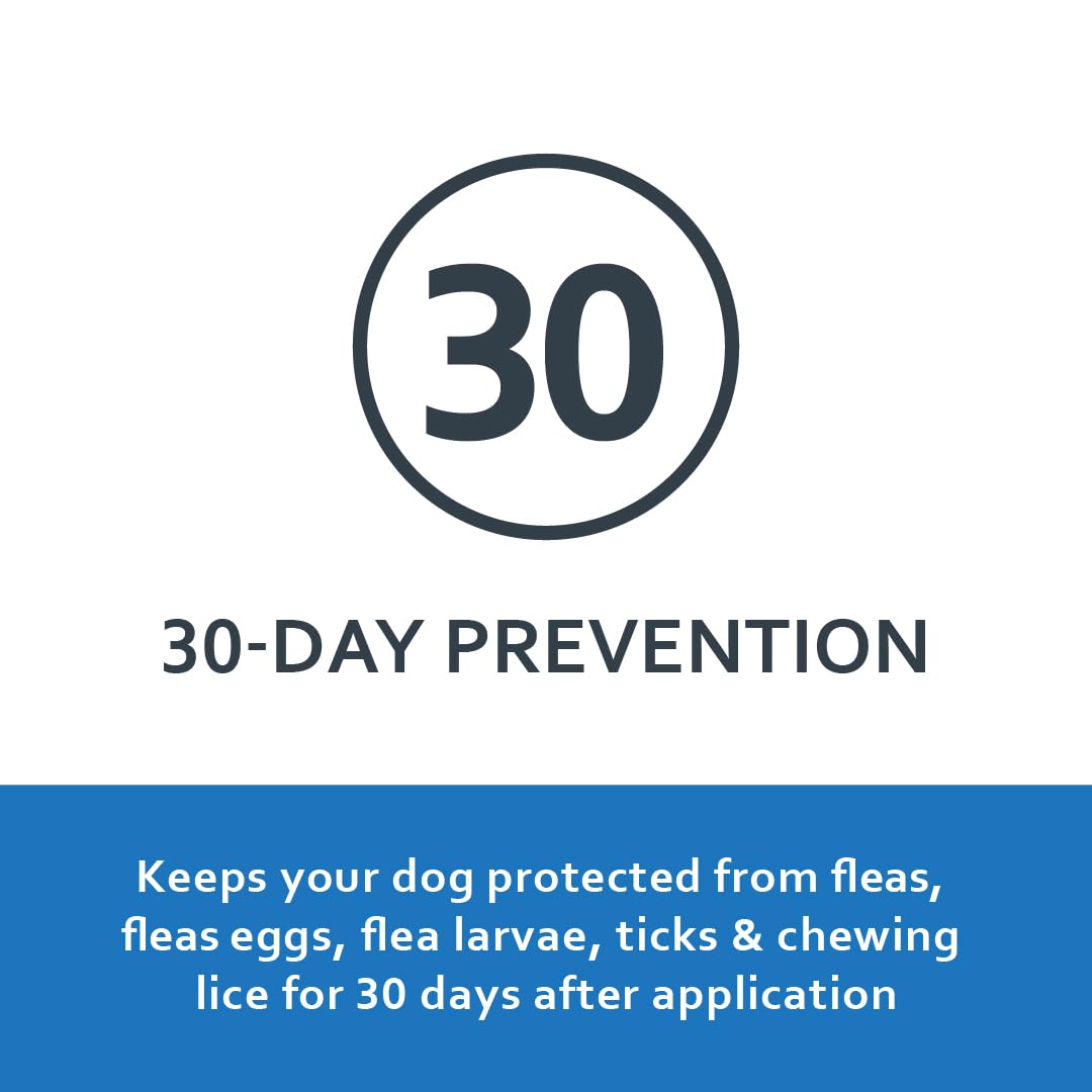 Fiproguard Flea & Tick Squeeze-On for Dogs Upto 22 lbs, 6-PACK
