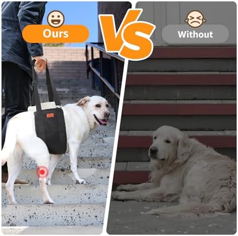 Adjustable Dog Lift Harness Dog Sling for Large Dogs Hind Leg Support Soft Lift Support and Rehab Harness for Weak Rear Legs, Helps Senior, Injured, Disabled and After ACL Surgery Dogs Large
