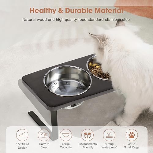 Elevated Cat Bowls, 15° Tilted Raised Cat Food Bowls Wood Pet Bowls with Stand Anti Vomiting 2 Stainless Steel Bowls for Cats and Puppy