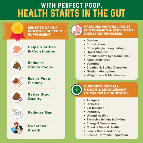 Perfect Poop Digestion & General Health Supplement for Dogs: Fiber, Prebiotics, Probiotics & Enzymes Relieve Digestive Conditions, Optimize Stool, and Improve Health (Cheddar Cheese, 12.8 oz)