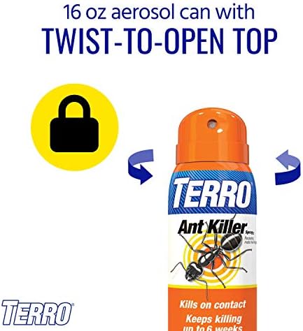TERRO T401SR Indoor and Outdoor Ant Killer Aerosol Spray - Kills Ants, Cockroaches, Crickets, Scorpions, Spiders, and Other Insects - 2 Pack 32 Total Ounces