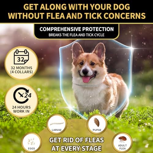 4 Pack Flea Collar for Dogs, 32 Months Flea and Tick Prevention for Dogs, Waterproof Dog Flea Collar, Dog Flea and Tick Treatment, Adjustable Flea and Tick Collar for Dogs Puppy-Black&Gray