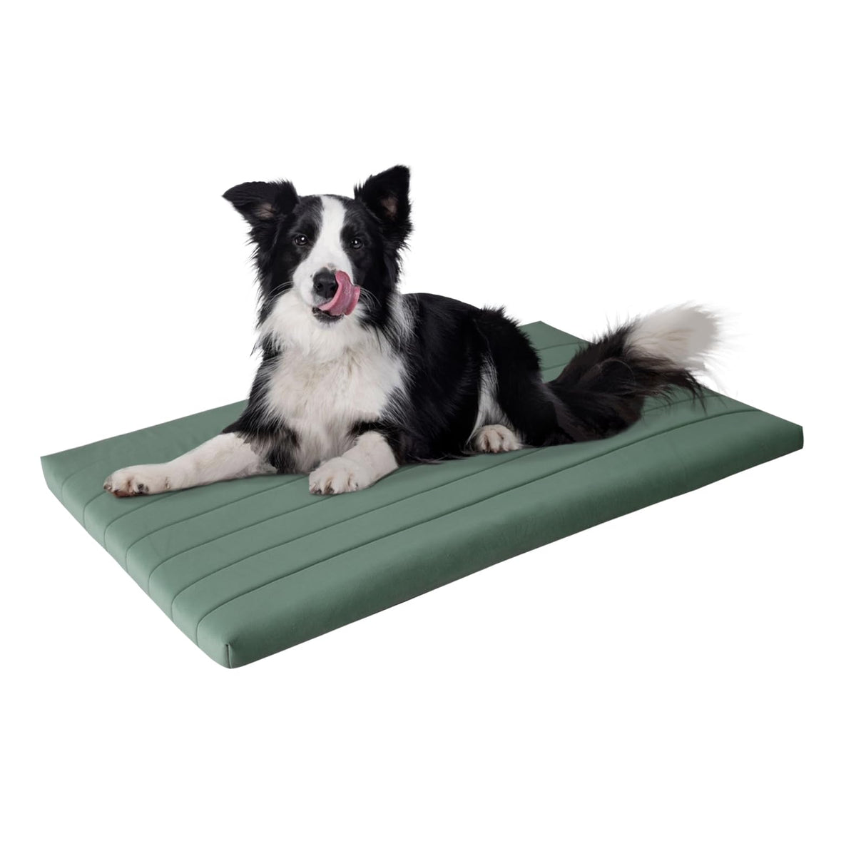 BALANCE Dog Crate Bed, Orthopedic Dog Bed Pad with Waterproof Liner, Washable Crate Foam Pet Mat for Large, Medium, Puppy Dogs Breeds, Mint Leaf, 42"x28"x2"