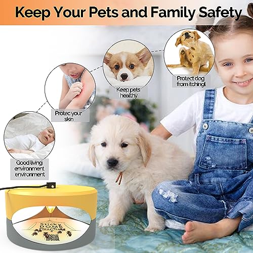 Yellow and LightGray Gray Aspectek Sticky Dome Flea Trap with 2 Sticky Discs. Odorless Insect Traps, Effective for Indoor Use - 2 Pack