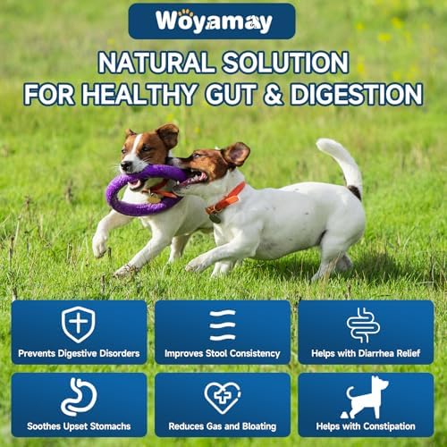 Probiotics for Dogs, 200 Soft Treats Dog Probiotics for Digestive Health & Immune System, Probiotic Chews for Dogs, Support Gut Health | Itchy Skin | Diarrhea | Gas Relief Treatment