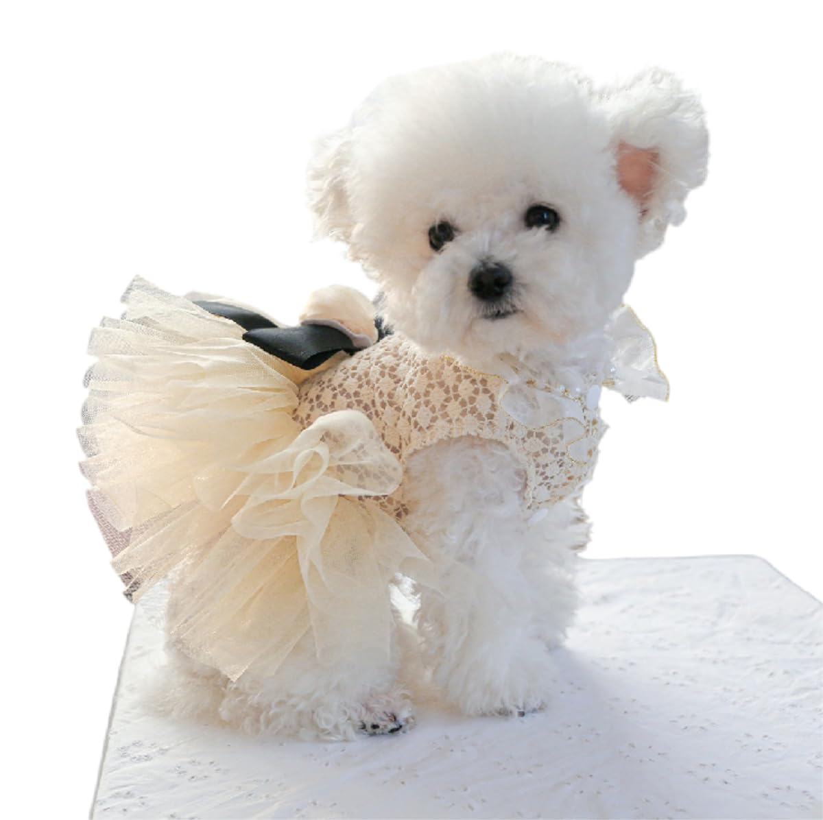 Dog Dress for Small Dog Girl Puppy Princess Tutu Dress Flower Decoration Cat Apparel Chihuahua Yorkie Clothes for Birthday Wedding Dress Lace Collar Dog Dress Dog Shirt Outfit Apparel Flower Large