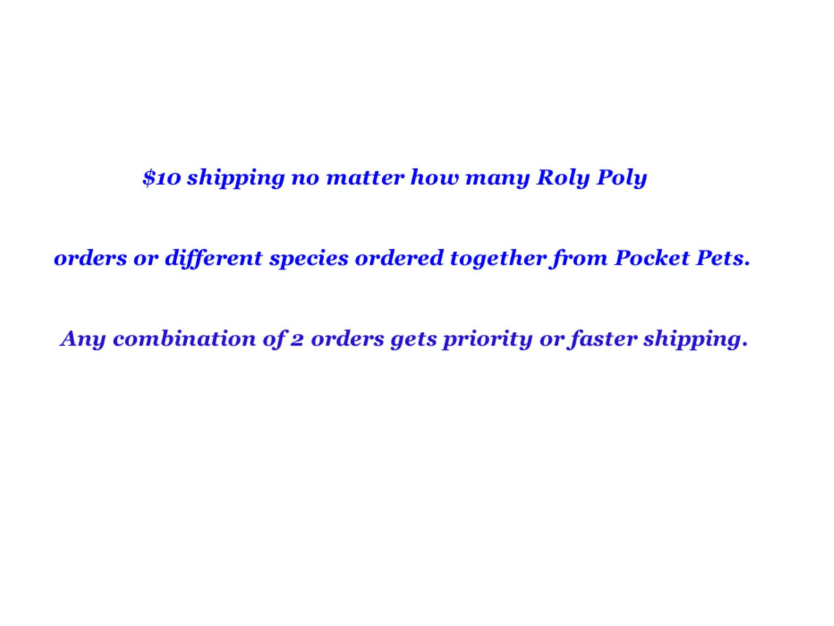 Pocket Pets 30 Dwarf White Isopods and Mixed Springtail Eggs in Living Bioactive Soil Clean Up Crew for Reptile and Amphibian Food Order only if Your 5 Day Forecast Temps are Between 20 and 95