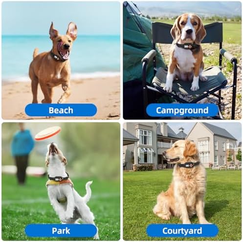 GPS Wireless Dog Fence, Pet Electric Containment System, IPX6 Waterproof/Rechargeable Collar, Beep/Vibration/Shock Correction Mode, for Dogs Over 10 Lbs