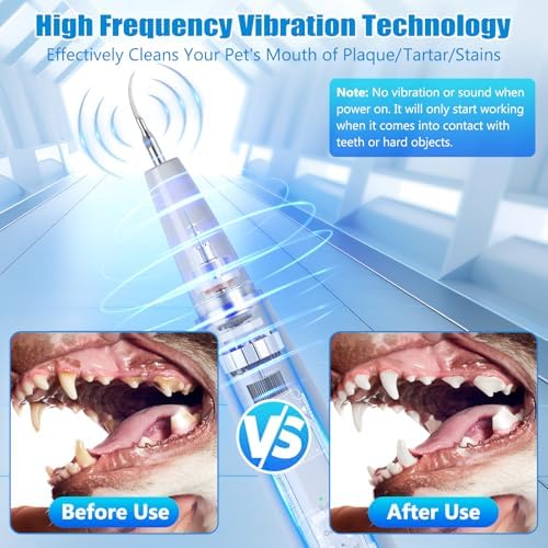 Dog Tartar Remover for Teeth, Dog Teeth Cleaning Kit with LED Light and 5 Modes, Teeth Cleaner for Dogs and Cats,White