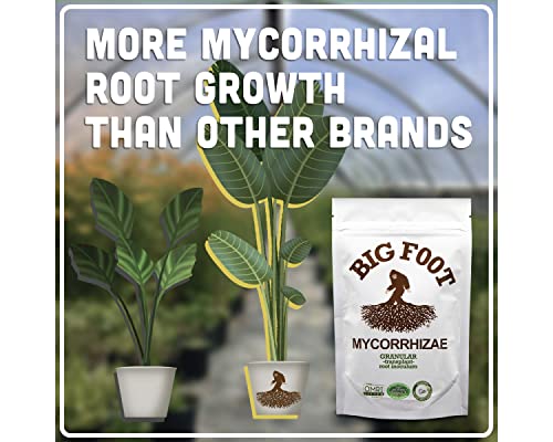 Big Foot Mycorrhizal Granular (2 LB) with Kelp, Biochar, Worm Castings, Humic Acid, Trace Minerals| Treat Soil or 256-1 Gallon Pots |