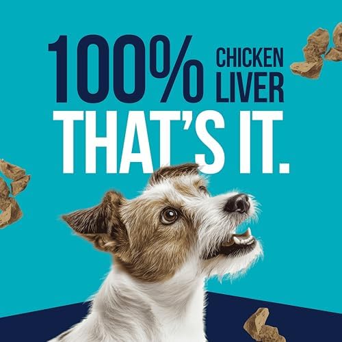 Stewart Freeze Dried Dog Treats, Chicken Liver, Healthy, Natural, Single Ingredient, Grain Free Dog Treat, Liver Treats for Dogs, 11.5 Ounces, Resealable Tub
