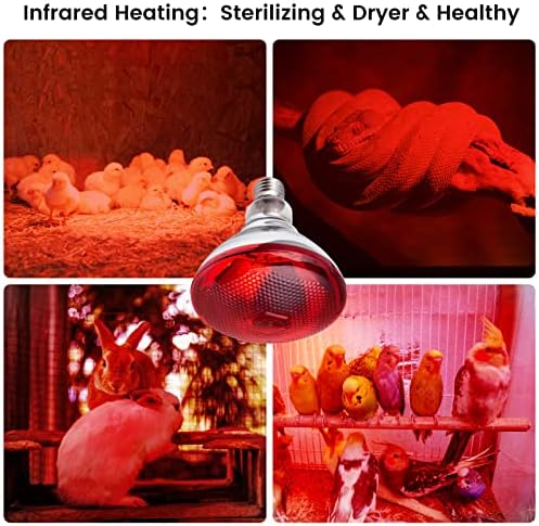 Heat Lamp for Chickens Coop Brooder and Reptile Heat Bulb 150 Watt Infrared Red Light