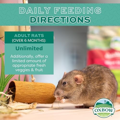 Oxbow Essentials Adult Rat Food - All Natural Adult Rat Food - Veterinarian Recommended- Made in the USA- Rich in Natural Vitamins & Minerals- No Artificial Ingredients- 20 lb.