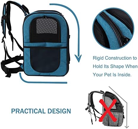 Apollo Walker Pet Carrier Backpack for Large/Small Cats and Dogs, Puppies, Safety Features and Cushion Back Support | for Travel, Hiking, Outdoor Use (Teal)