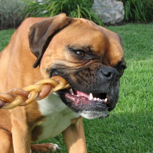 Pawstruck Natural 9” Braided Bully Sticks for Dogs - Tough, Long-Lasting, Rawhide-Free, Low Odor, Healthy Single Ingredient Chew Treat for Aggressive Chewers - 10 Count - Packaging May Vary