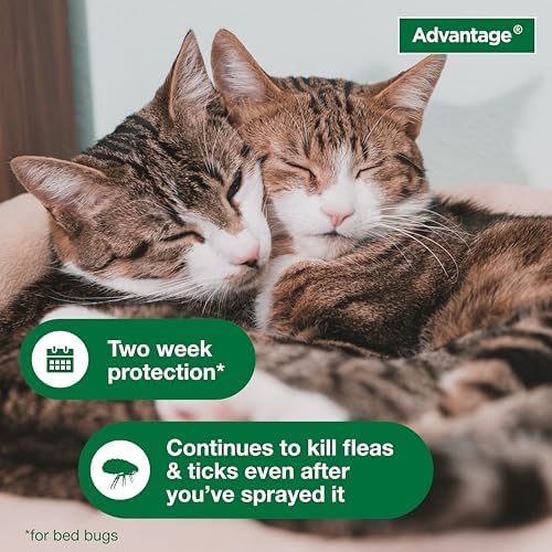 Advantage Household Spot & Crevice Spray | Kills Fleas & Ticks & Bedbugs | 24 oz.