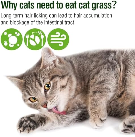 225g Cat Grass Teething Stick, Delicious Cat Treat Snack Edible Cat Chew Toy for Teeth Cleaning and Hairball Removal in Cats