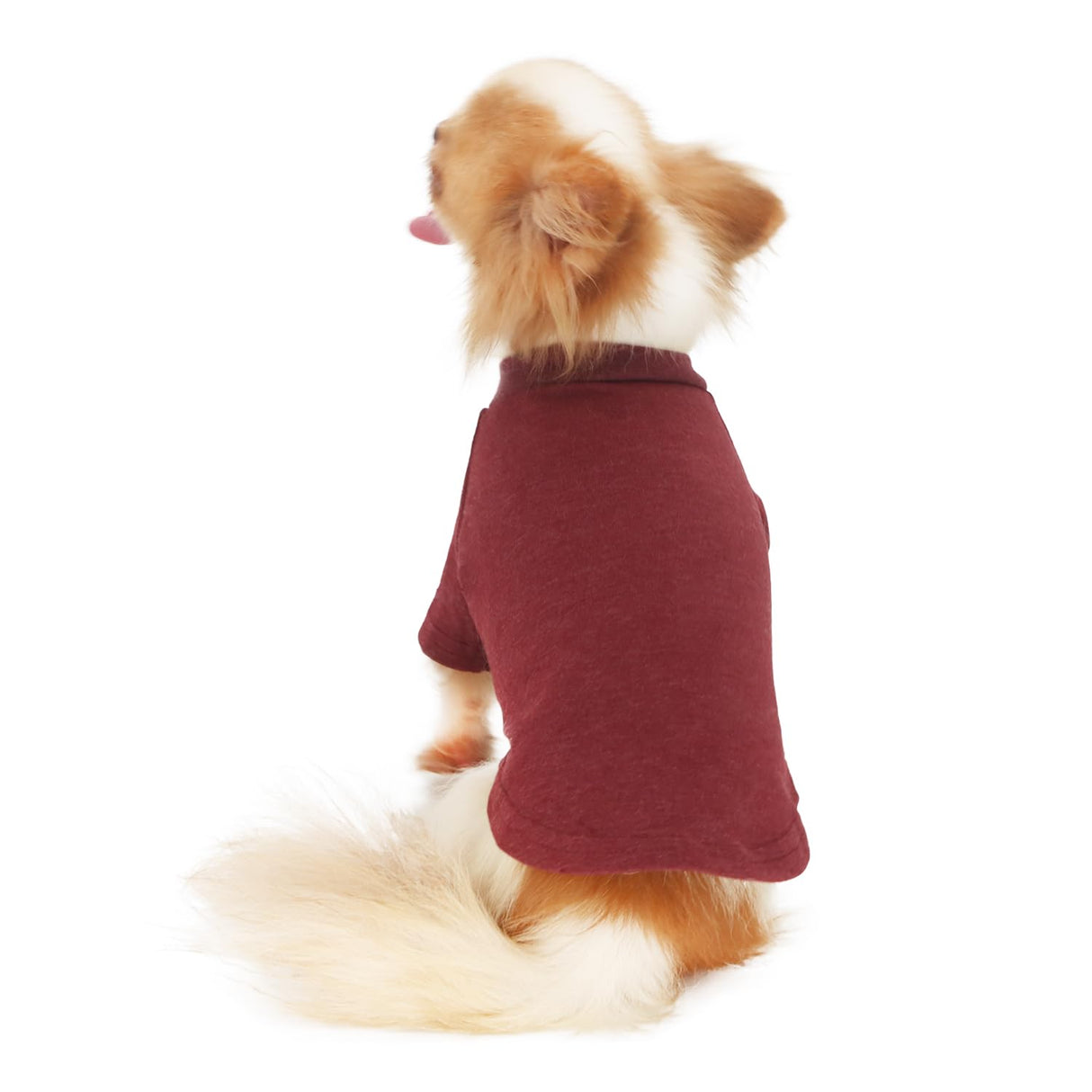LOPHIPETS Everyday Soft Cotton Dog Short Sleeve T-Shirt for Small Dogs Breeds | Fits 10-14 lbs | 2-Pack Navy & Red, X-Large