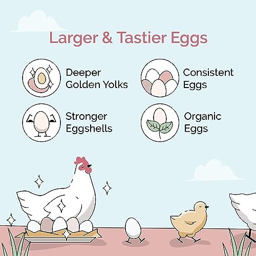 Organic Chicken Feed – Layer Whole Grain, Non-GMO, USA Grown, 16% Protein, Corn-Free, Soy-Free, Non-Medicated Feed for Chickens, 2 lb Sample