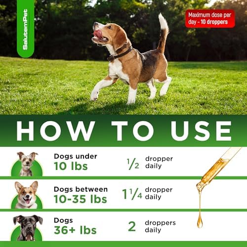 Dog Antibiotics | Natural Antibiotics for Dogs to Help with Infections, Cough, Allergies | Dog UTI Treatment for All Breeds | Puppy & Dog Itch Relief | No GMOs | 2 Oz