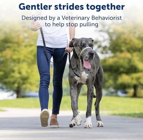 PetSafe Gentle Leader No-Pull Head Collar for Dogs, Dog Head Collar - The Ultimate Solution to Pulling, Padded Nose Loop, Quick-Snap Neck Strap, Dog Halter, Large - Black