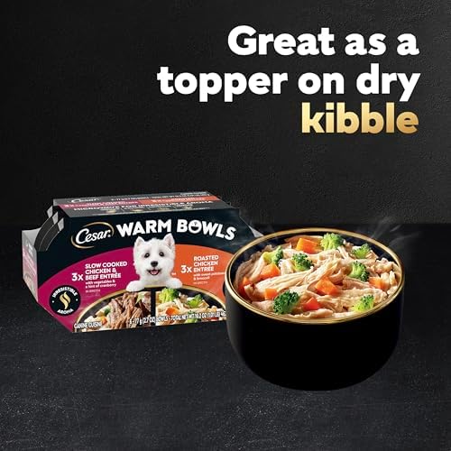 Cesar Warm Bowls Wet Dog Food Variety Pack: Chicken & Beef; and Chicken Entrées, 6 Trays