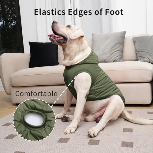 Fleece Lining Extra Warm Dog Hoodie in Winter,Small Dog Jacket Puppy Coats with Hooded Green XS