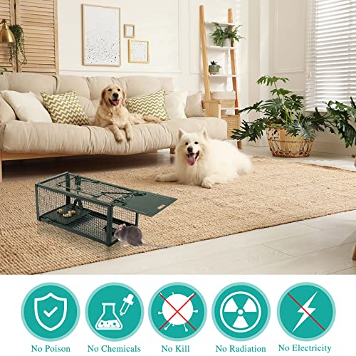 Qualirey 2 Pcs Humane Mouse Trap Live Rat Trap Mice Cage Work for Indoor and Outdoor Mouse Voles Hamsters Catch and Release (Green)