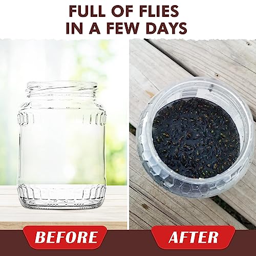 10 Pack Fly Trap Bait Refills, Reusable Fly Bait, 10 * 30g Natural Fly Bait Refill Packets Killer for Reusable Fly Traps Outdoor, Fly Attractant for Ranch Fly Traps Outdoor