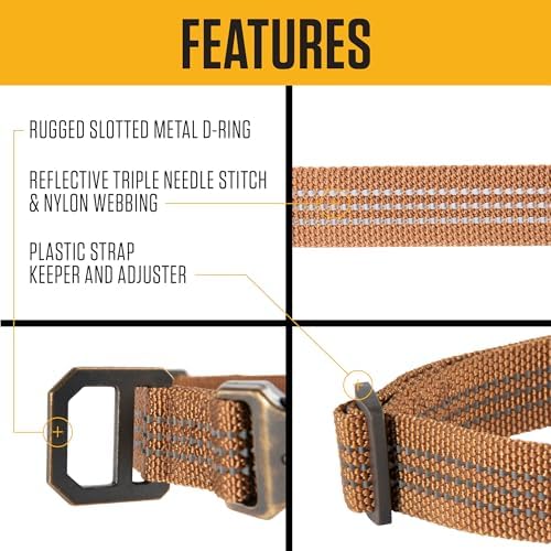 Carhartt Fully Adjustable Nylon Webbing Collars for Dogs, Reflective Stitching for Visibility, Light Moss (Nylon Webbing), Large