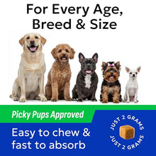 Load image into Gallery viewer, BARK&SPARK Dog Probiotics & Digestive Enzymes (Gut Health) Allergy & Itchy Skin - Pet Diarrhea Gas Treatment Upset Stomach Relief, Digestion Health Prebiotic Supplement Tummy Treat (180Ct Chicken)