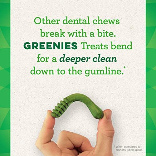 Greenies Pumpkin Spice Flavor Petite Size, Veterinarian-Recommended for Dental Care, Dog Treat Chews, Limited Edition, 12 oz., Pouch (20 Treats)