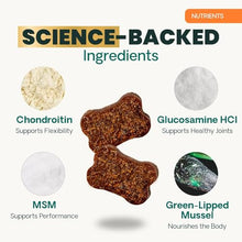 Load image into Gallery viewer, VetriScience Extra Strength Healthy Hip & Joint Chews, GlycoFlex 3, Glucosamine, Green-Lipped Mussel, Joint Support Supplement for Dogs, Promote Mobility & Soothe Joint Discomfort, Chicken, 120 Count