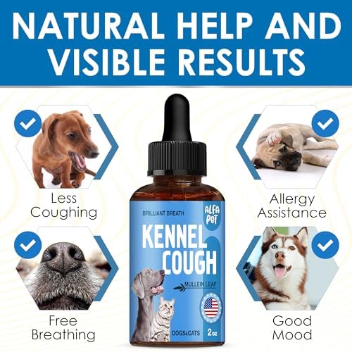 Dog Cough Treatment Liquid • Cat and Dog Cough Suppressant • Natural Supplement for All Breeds • Care for Breathing During All Life Cycle • Marshmallow Root + Mullein Leaf in The Composition • 2 Oz