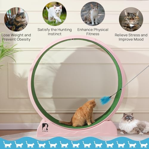 Cat Exercise Wheel, 47.2" Cat Treadmill, Carpeted Runway, Easy to Install, Suitable for Most Cats