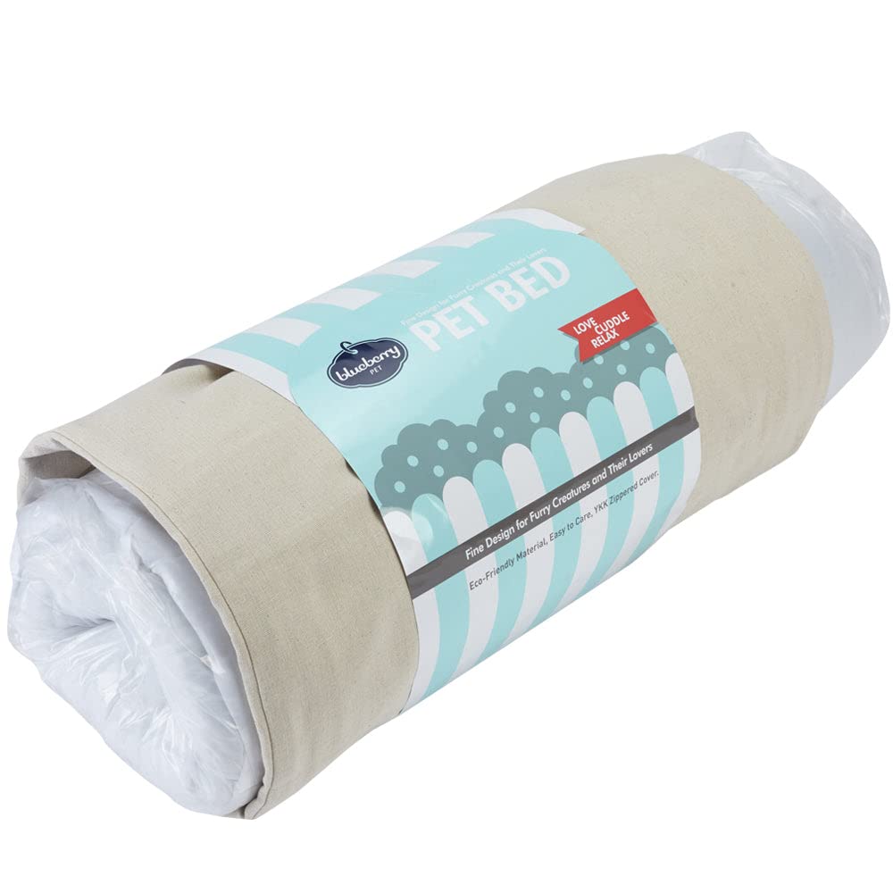Blueberry Pet Fully Removable Washable Dog Bed, Heavy Duty Pet Bed w/Durable YKK Zippers, 25" x 21" x 10", 6 Lbs, Baby Blue & Beige Color-Block Beds for Cats & Dogs