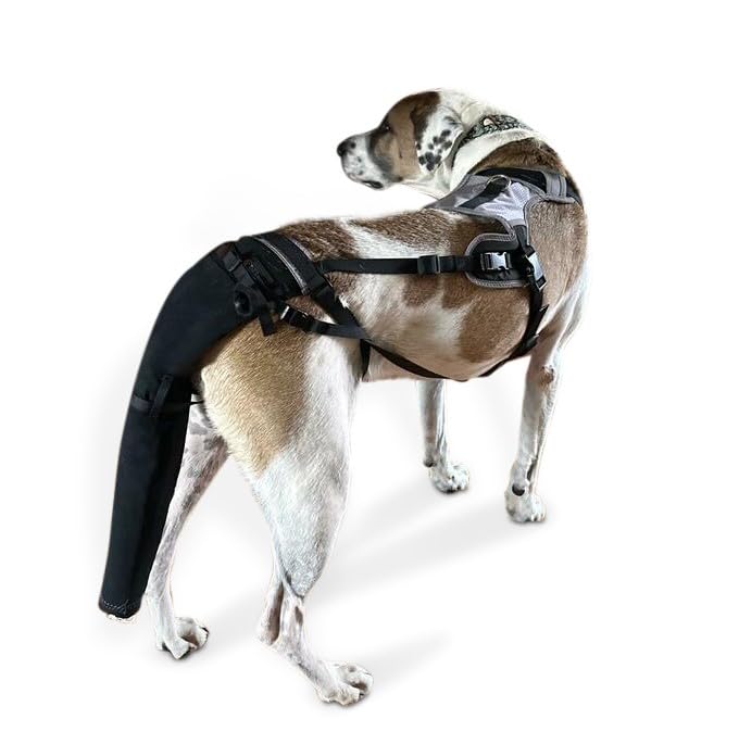 K9 TailSaver: Large Happy Tail Protector for Labrador, Golden Retrieve, Pitty, Doodles – Check Size Chart Image for FIT