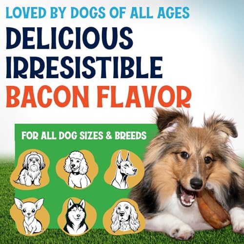 Whole Pig Ears for Dogs Large - 6 Pack Long Lasting Dog Chews – One Ingredient Delicious All Natural Flavor – Easy to Digest Dog Treats for Large Dogs - Great for Teeth and Gums