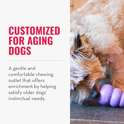 KONG Senior - Dog Toy with Gentle, Natural Rubber - Durable Dog Toy for Older Dogs - Use Treats with Stuffable Chew Toy - Treat Toy for Chewing & Fetching - for Medium Dogs