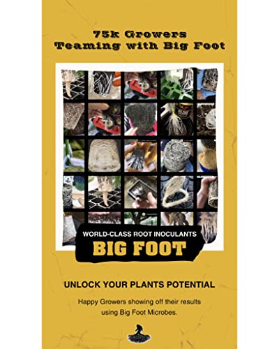 Big Foot Mycorrhizal Granular (2 LB) with Kelp, Biochar, Worm Castings, Humic Acid, Trace Minerals| Treat Soil or 256-1 Gallon Pots |