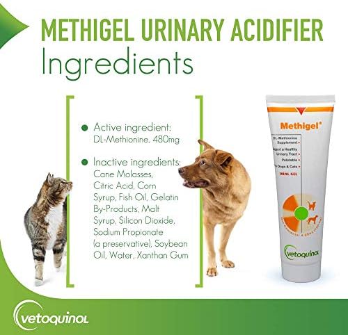 Vetoquinol Methigel Urinary Acidifier to Promote Urinary and Bladder Health for Dogs & Cats