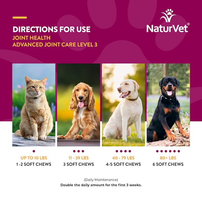 NaturVet Joint Health Level 3 Dog Soft Chew 15.2 oz. Count of 240
